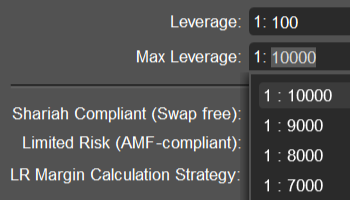 Setting higher maximum leverage
