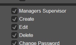 Manager Supervisor permission