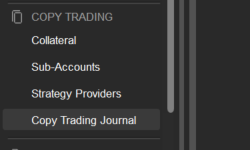 Copy Trading Journal