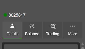 Navigating account data efficiently