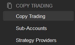 Copy Trading section